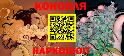 крисы Кандалакша