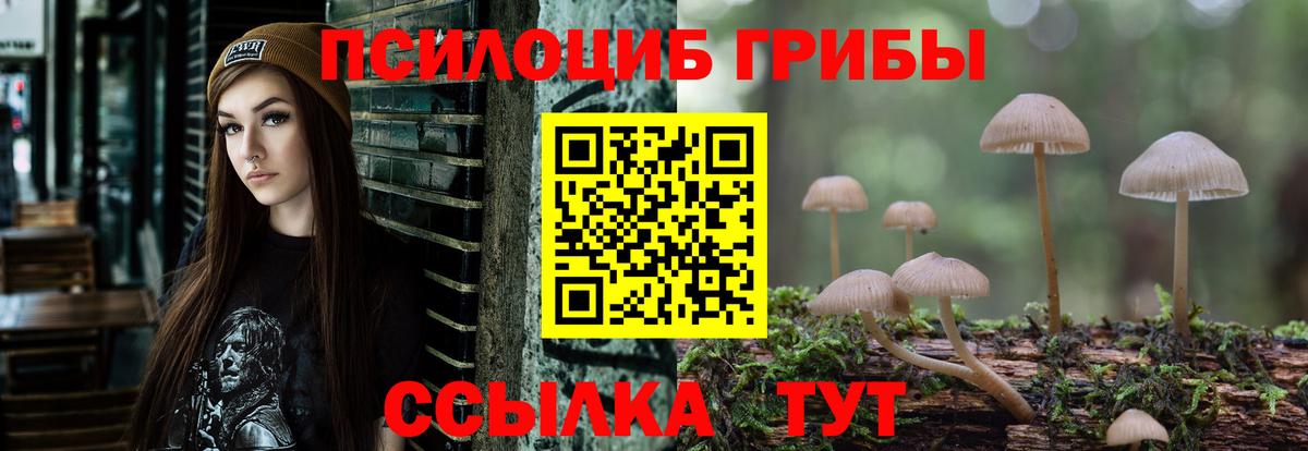 Псилоцибиновые грибы Psilocybine cubensis  Вход с VPN  наркота  Горно-Алтайск 